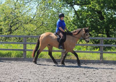 32370905_10155255782421631_4398679563513626624_o