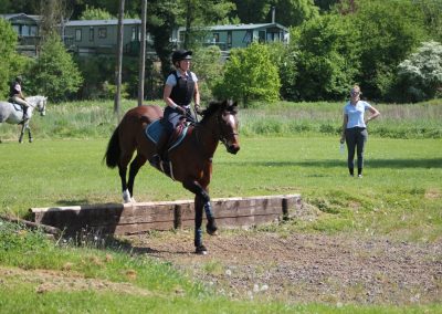 32381139_10155255796126631_2855045017133645824_o