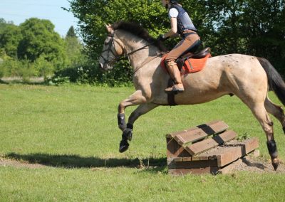 32507930_10155255780606631_4581756315486912512_o