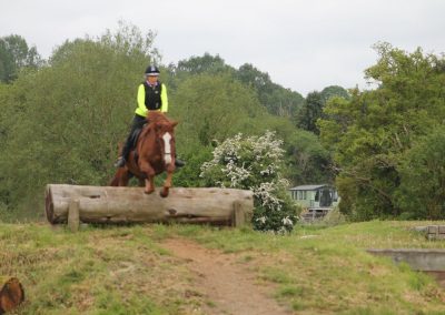 32525906_10155255804571631_4335221541974310912_o