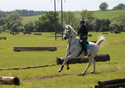 32592866_10155255787861631_5042135436198150144_o