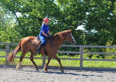 32597019_10155255780216631_3147358249326477312_o