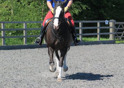 32599624_10155255783081631_4109254799906570240_o