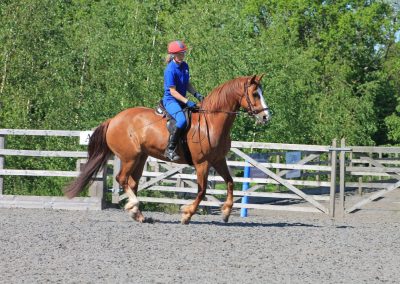 32602607_10155255782491631_8757590710573596672_o