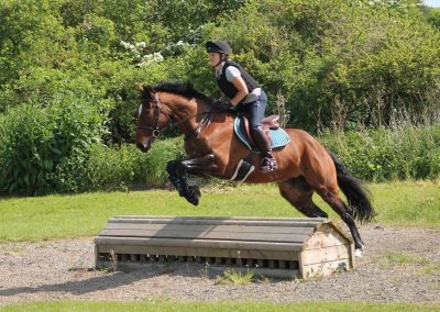 32602621_10155255786681631_4192114137909690368_o