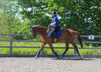 32616672_10155255778566631_7106966810863337472_o