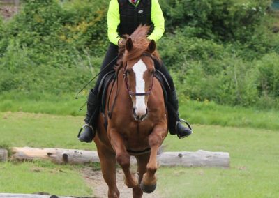 32617235_10155255789481631_891590916651876352_o