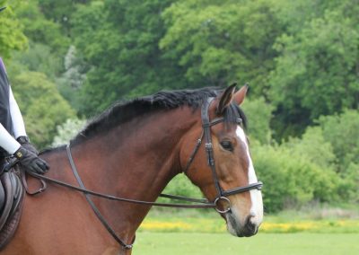 32625918_10155255807756631_8458591983827419136_o