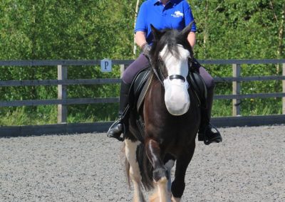 32626987_10155255782111631_7625101799912898560_o