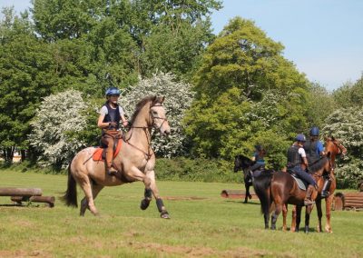 32631020_10155255785096631_3656782426224459776_o