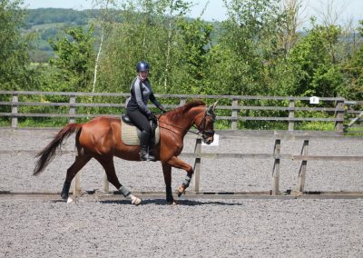 32644940_10155255798251631_9172441498615021568_o