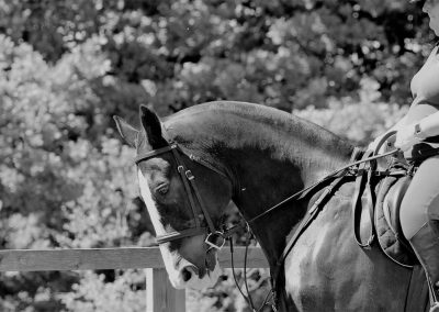 32650022_10155255769136631_7203071492999872512_o