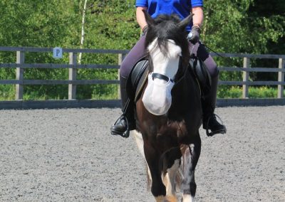 32652391_10155255782226631_1794423751287242752_o