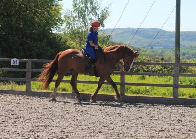 32659596_10155255781596631_3383963844429742080_o