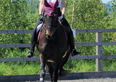 32667525_10155255769966631_6870790596525555712_o