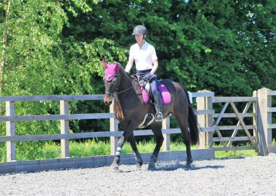 32668478_10155255766686631_7997575601638604800_o