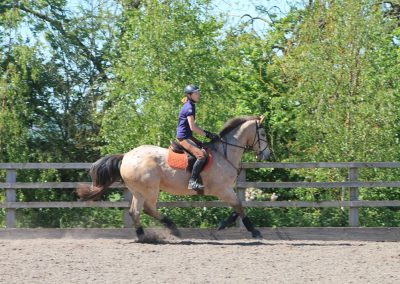 32680588_10155255782336631_6381417126556598272_o