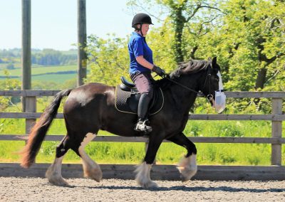 32681097_10155255766506631_1051046563972907008_o