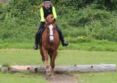 32687918_10155255788656631_729912709654511616_o