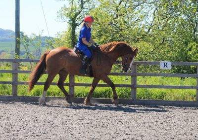 32696716_10155255786126631_6370873389866811392_o