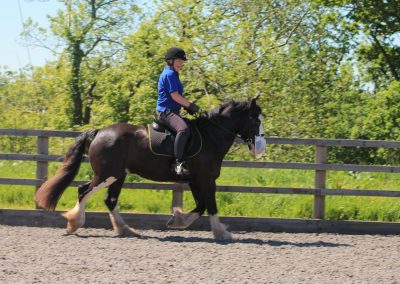 32701879_10155255776231631_2017106625784971264_o