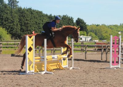 32701896_10155255777836631_1188746148945330176_o