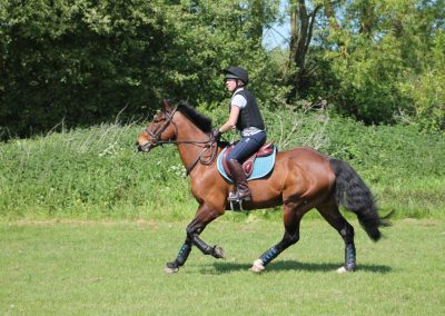 32712332_10155255790551631_4252009952228409344_o