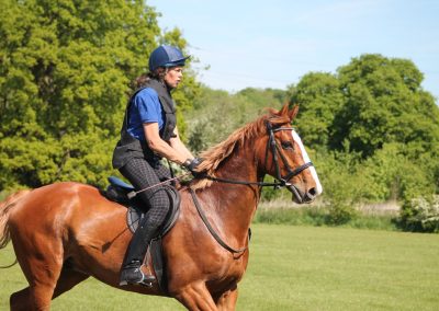 32720223_10155255783006631_5887013184732135424_o