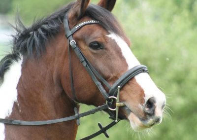 32723689_10155255802271631_1124282349144506368_o