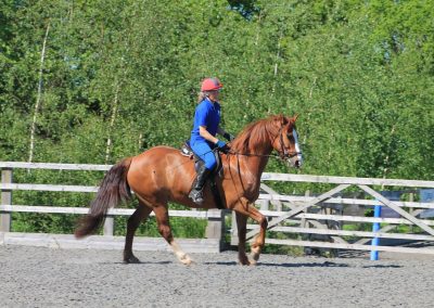 32730237_10155255779301631_1115774070470737920_o