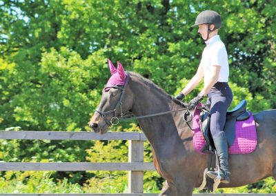 32732012_10155255767441631_7972529980888317952_o