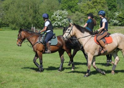 32739776_10155255778896631_1420399492137484288_o