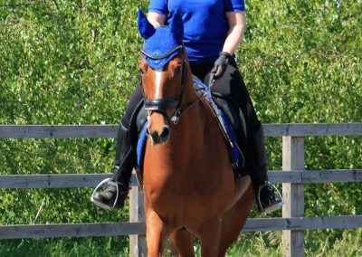 32740868_10155255767536631_3405243543365615616_o