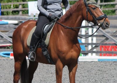 32742796_10155255777351631_6977146699877711872_o