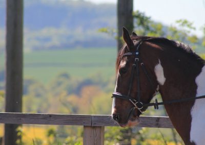 32764301_10155255770651631_7107513457120903168_o