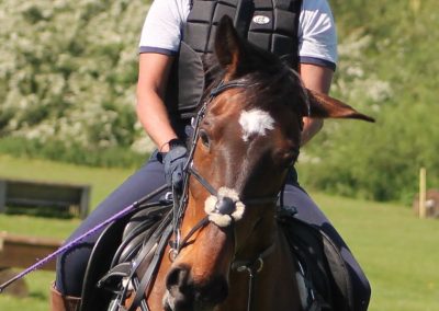 32780824_10155255766141631_3128712701077880832_o