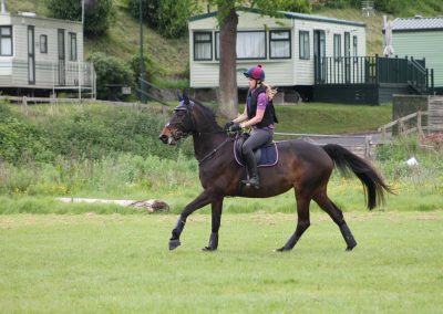 32784236_10155255803631631_1874910802759122944_o