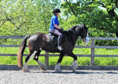 32804678_10155255769466631_6278544529444306944_o