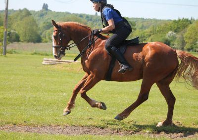 32808343_10155255775111631_2525133070000979968_o