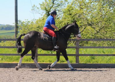 32824904_10155255776721631_8778945391048523776_o