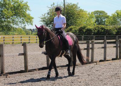 32828749_10155255782806631_1446423102710874112_o