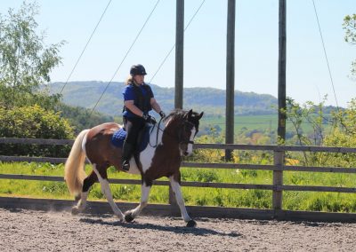 32829075_10155255778691631_3588526629862768640_o