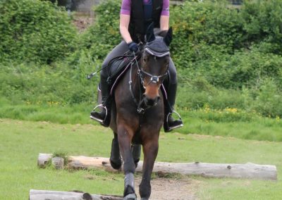 32837206_10155255791626631_7261287322270826496_o