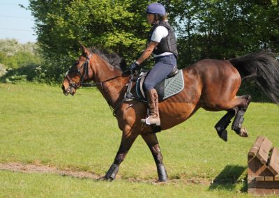 32840708_10155255775556631_7888090361208242176_o