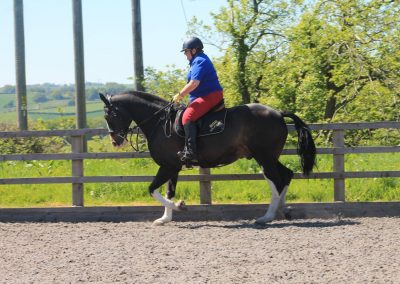 32846368_10155255776611631_7604507676541714432_o