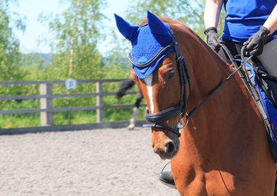 32846956_10155255771056631_866216400190963712_o