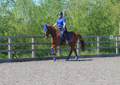 32848487_10155255783326631_3661377409870987264_o