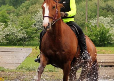 32857590_10155255796996631_3324458644501692416_o