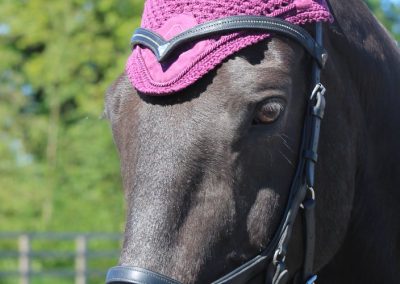 32872569_10155255777121631_6069166832269393920_o