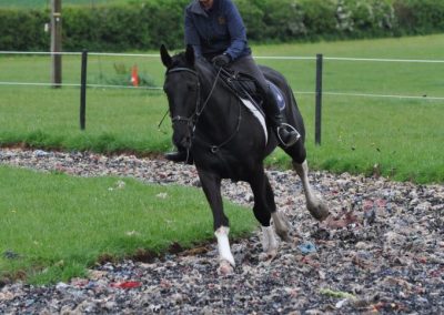 DSC_0197-e1495569922772-680x1024